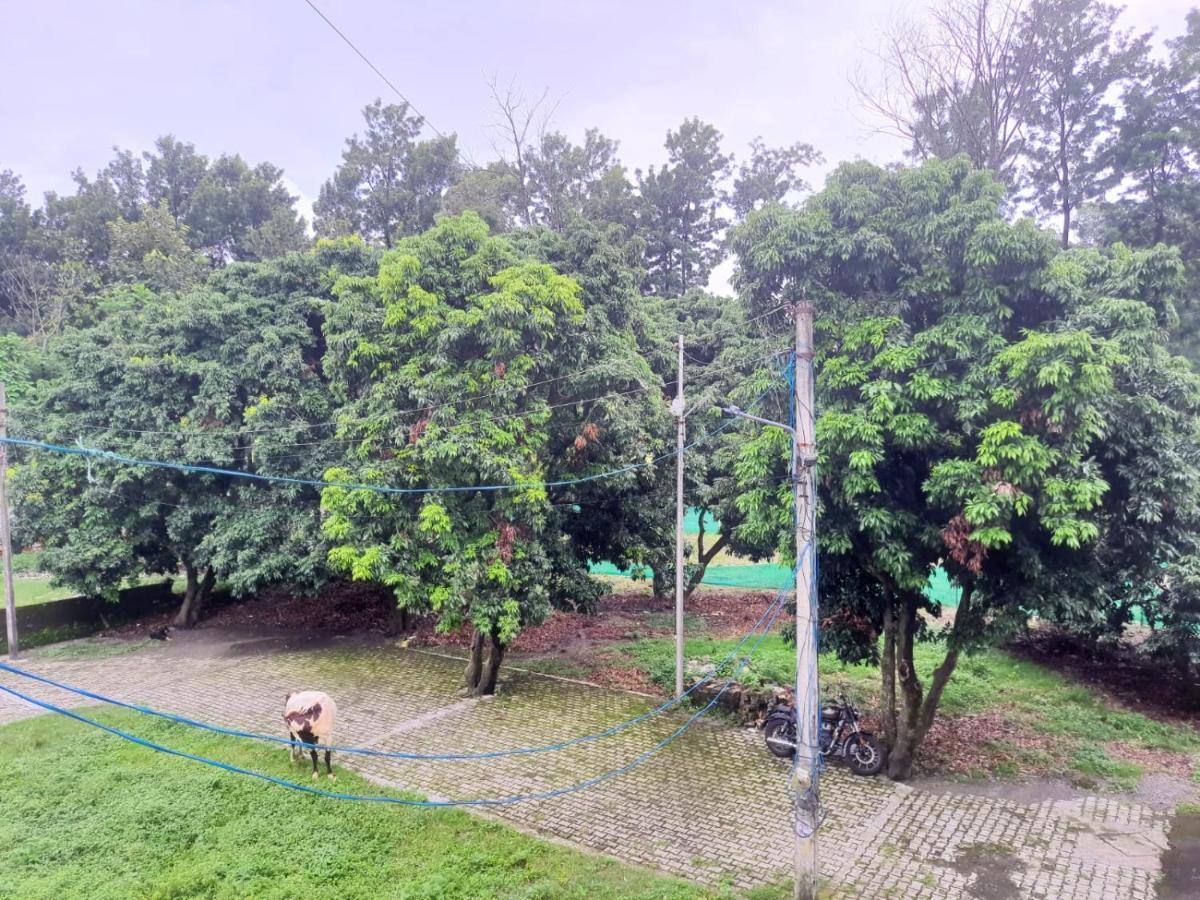Nature View Homestay Дехрадун Экстерьер фото